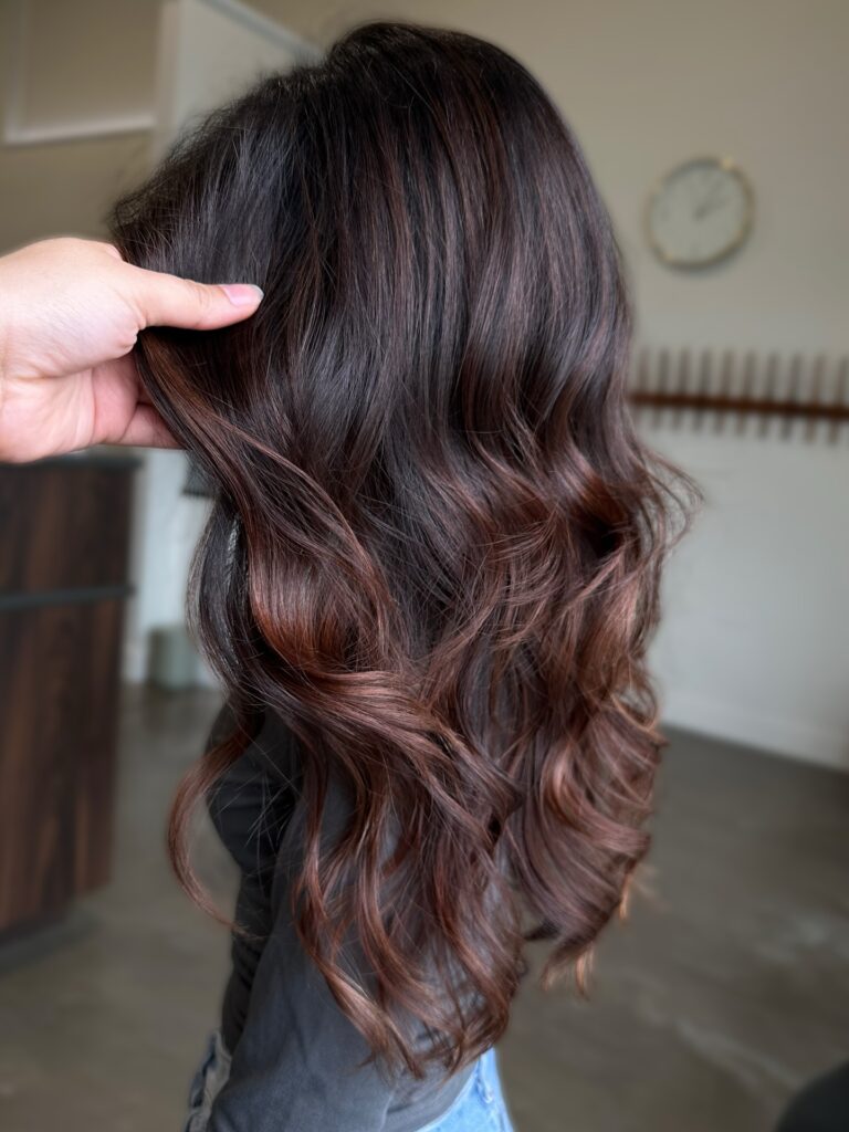 Rich Chocolate Brown with Auburn Dimension