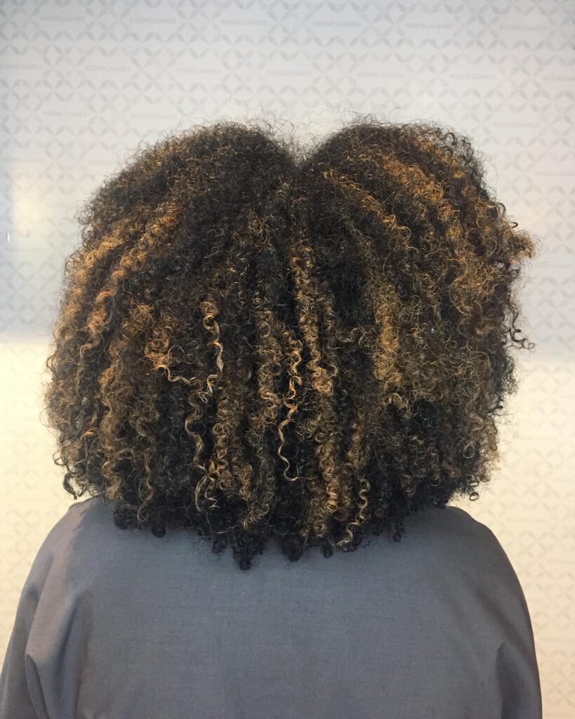 8 Curly Hair Trends You’ll See Everywhere in 2025 8 Type 3 Curls with Caramel Highlight